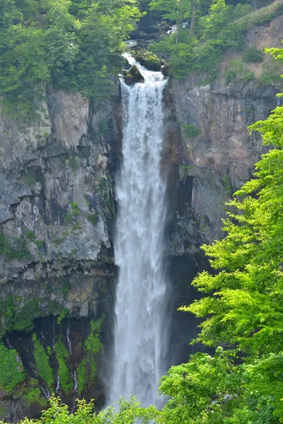 DSC_3959 (Large).JPG